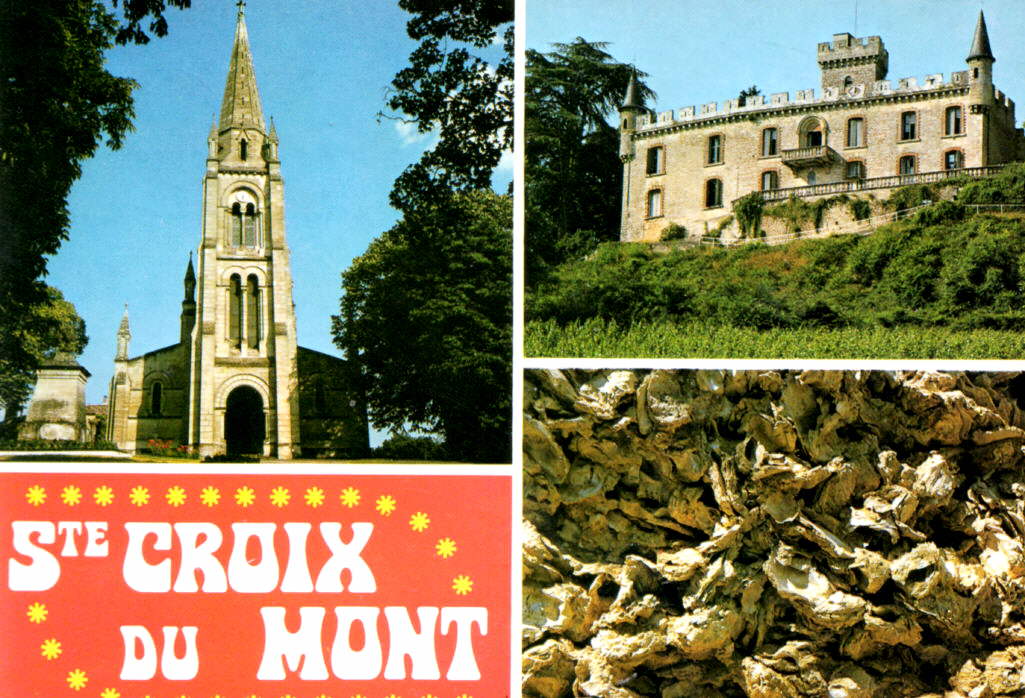 01-sainte-croix-du-mont-le-chateau-de-tastes-leglise-les-huitres-fossilisees