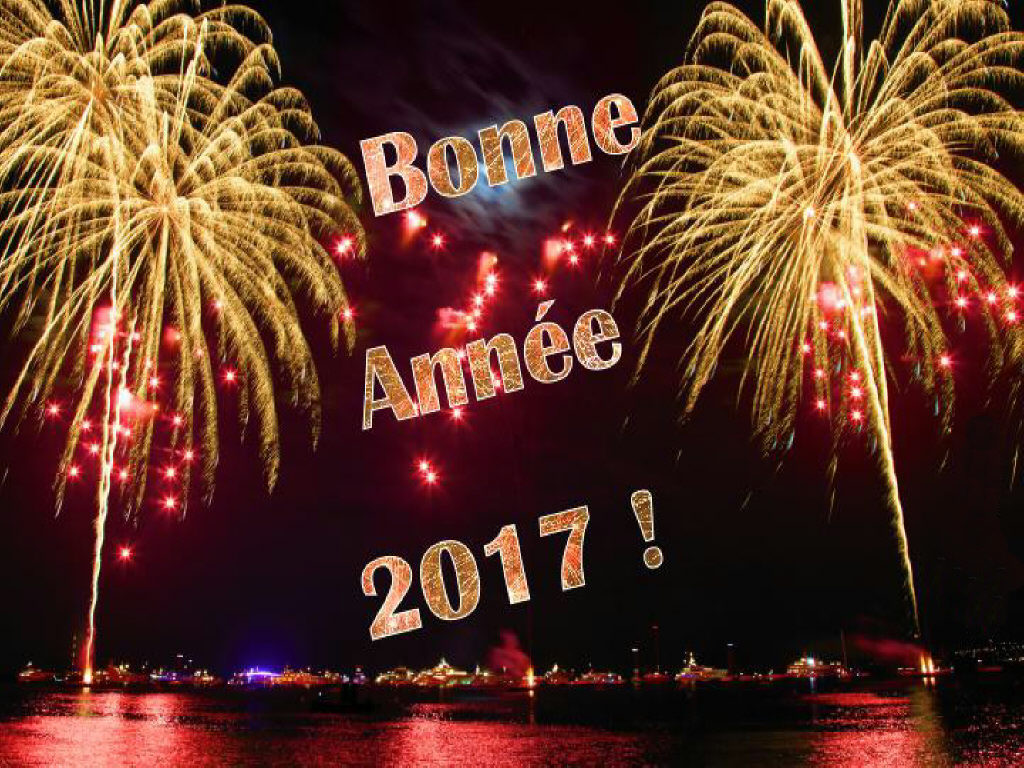 004-bonne-annee-2017